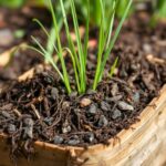 Can You Put Moldy Grass in Compost? What You Need to Know for Healthy Composting