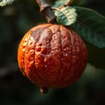 Discovering What is the Oldest Fruit to Exist? A Journey Through Time