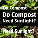 Do Compost Need Sunlight? Understanding the Importance of Sun Exposure in Composting