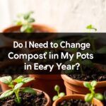 Do I Need to Change the Compost in My Pots Every Year? Essential Tips for Healthy Plants