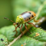 What Do Aphids Hate the Most in the Garden? Effective Tips to Keep Them Away!