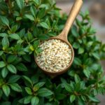 What is the Best Way to Feed Bushes? A Complete Guide for Healthy Growth