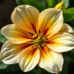 What is the hardest flower to take care of? Discover Tips and Insights for Care Challenges