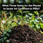 What Three Items Should Not Be Placed in a Compost Pile? Avoid These Common Mistakes!